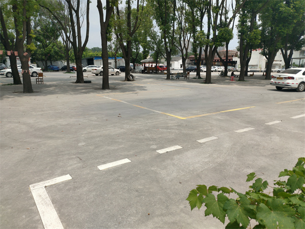 滨湖学车考驾照费用